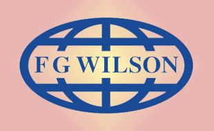 ✓ FG-Wilson 941-856 Запчасти Перкинс / Вилсон 