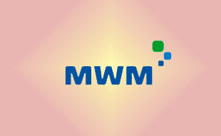 ✓ MWM 0403 5390 Запчасть MWM 